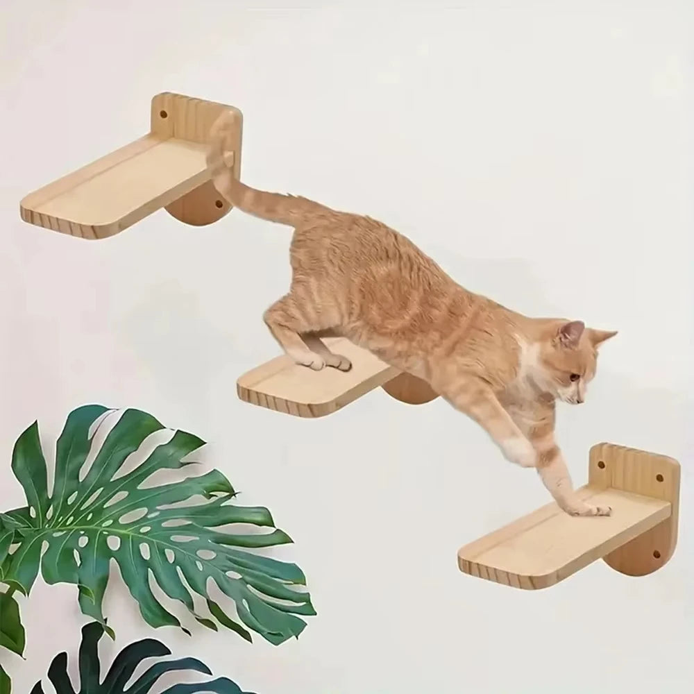 Set of three floating cat steps