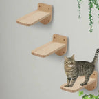 Cat step bracket detail