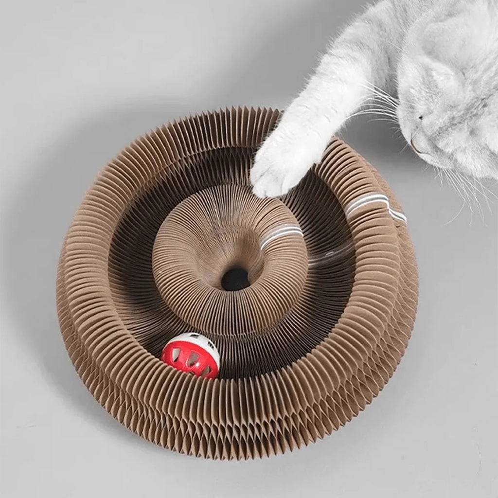 Cat playing with the ball in the cardboard scratcher groove