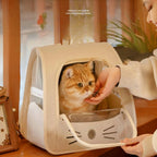 Cat sitting inside the backpack carrier looking through the window