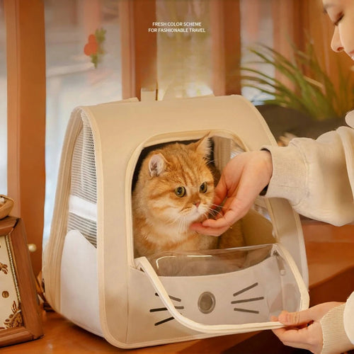 Cat sitting inside the backpack carrier looking through the window