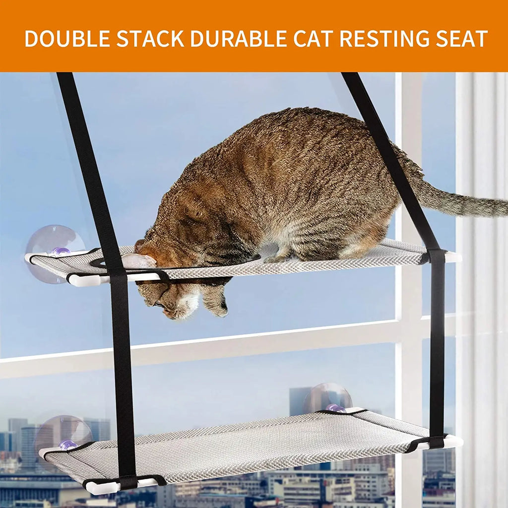 Frame and suction cups of the double hammock