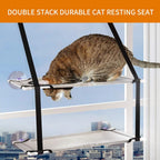 Frame and suction cups of the double hammock