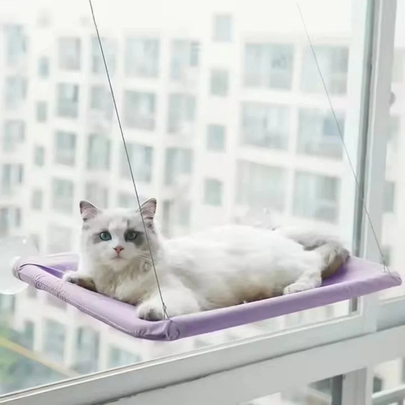 Cat lying on the suction mounted window perch