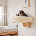 Wall mounted cat bed with plush rim