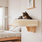Wall mounted cat bed with plush rim