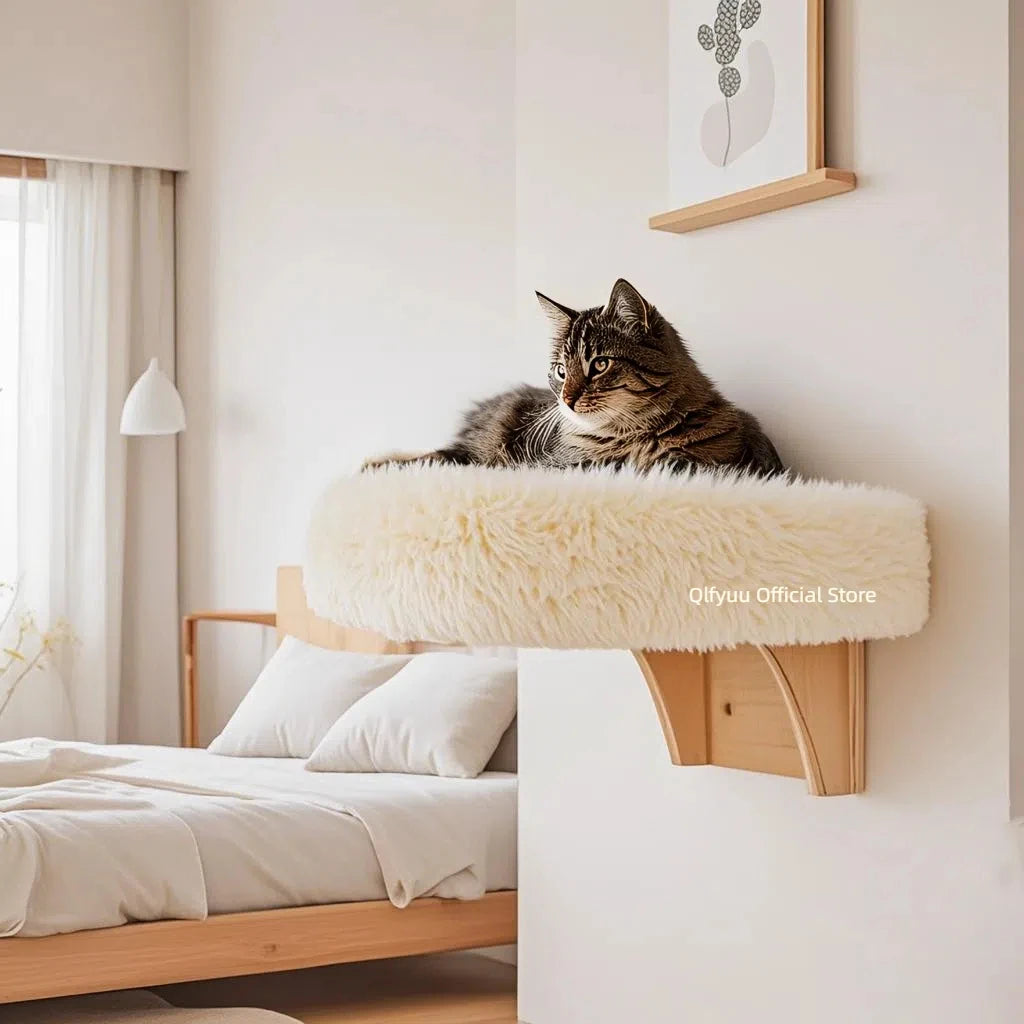 Wall mounted cat bed with plush rim