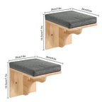 Curved cat shelf mounted on a wall