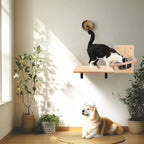 Wall Feeding Shelf with Two Steel Bowls