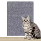 Cat scratching the adhesive carpet panel