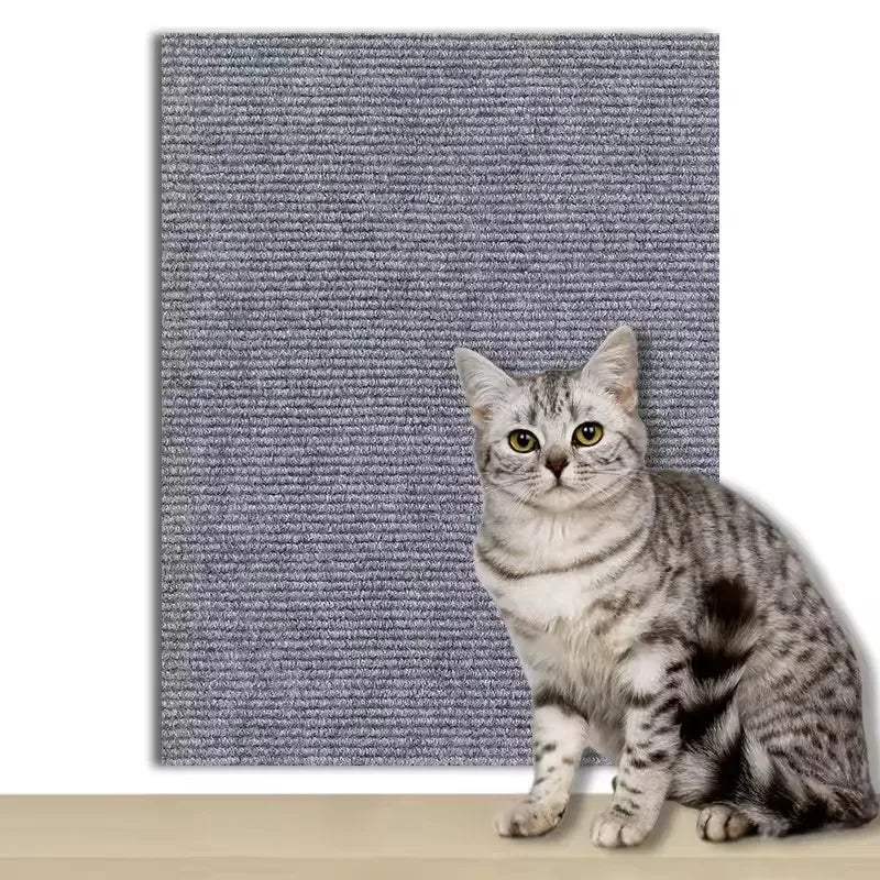 Cat scratching the adhesive carpet panel