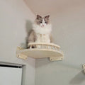 Cat wall steps with a sisal scratching post