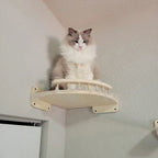 Cat wall steps with a sisal scratching post