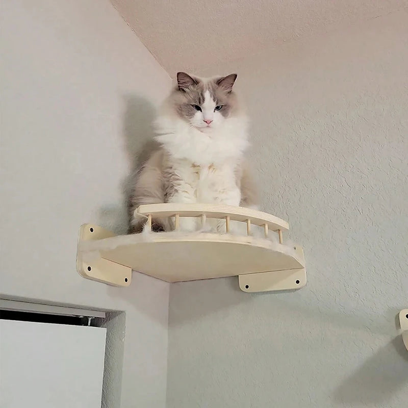 Cat Wall Furniture