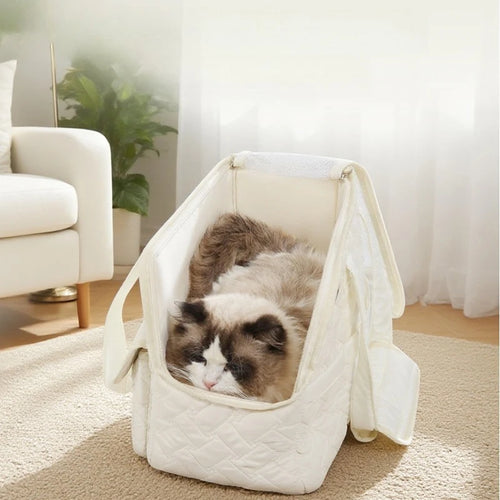 Cat inside the shoulder carrier