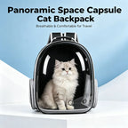 Bubble backpack seen from the side