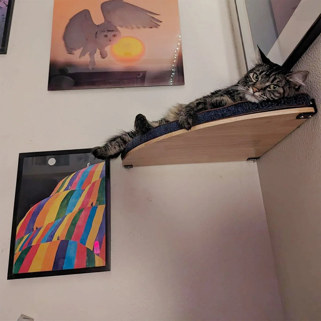 Corner shelf set mounted on a wall