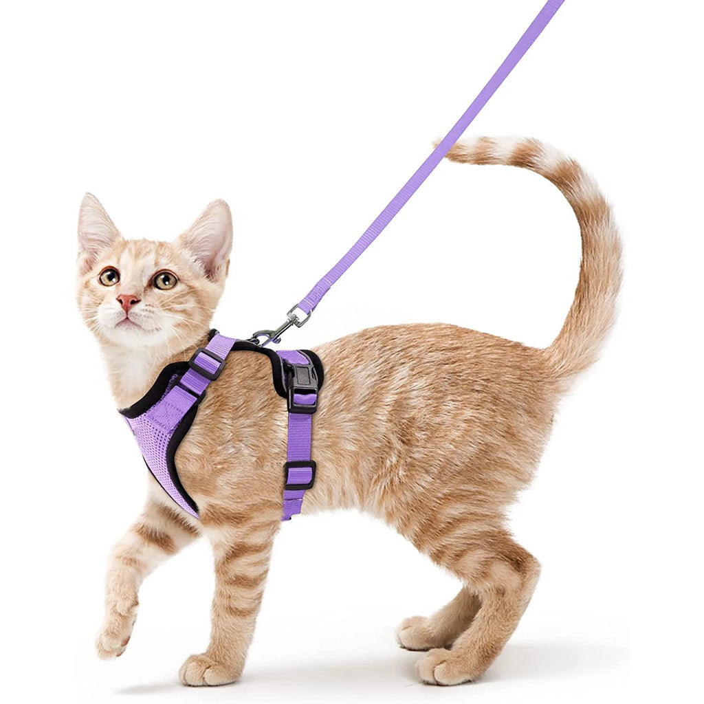Adjustable buckles and mesh panel of the cat harness