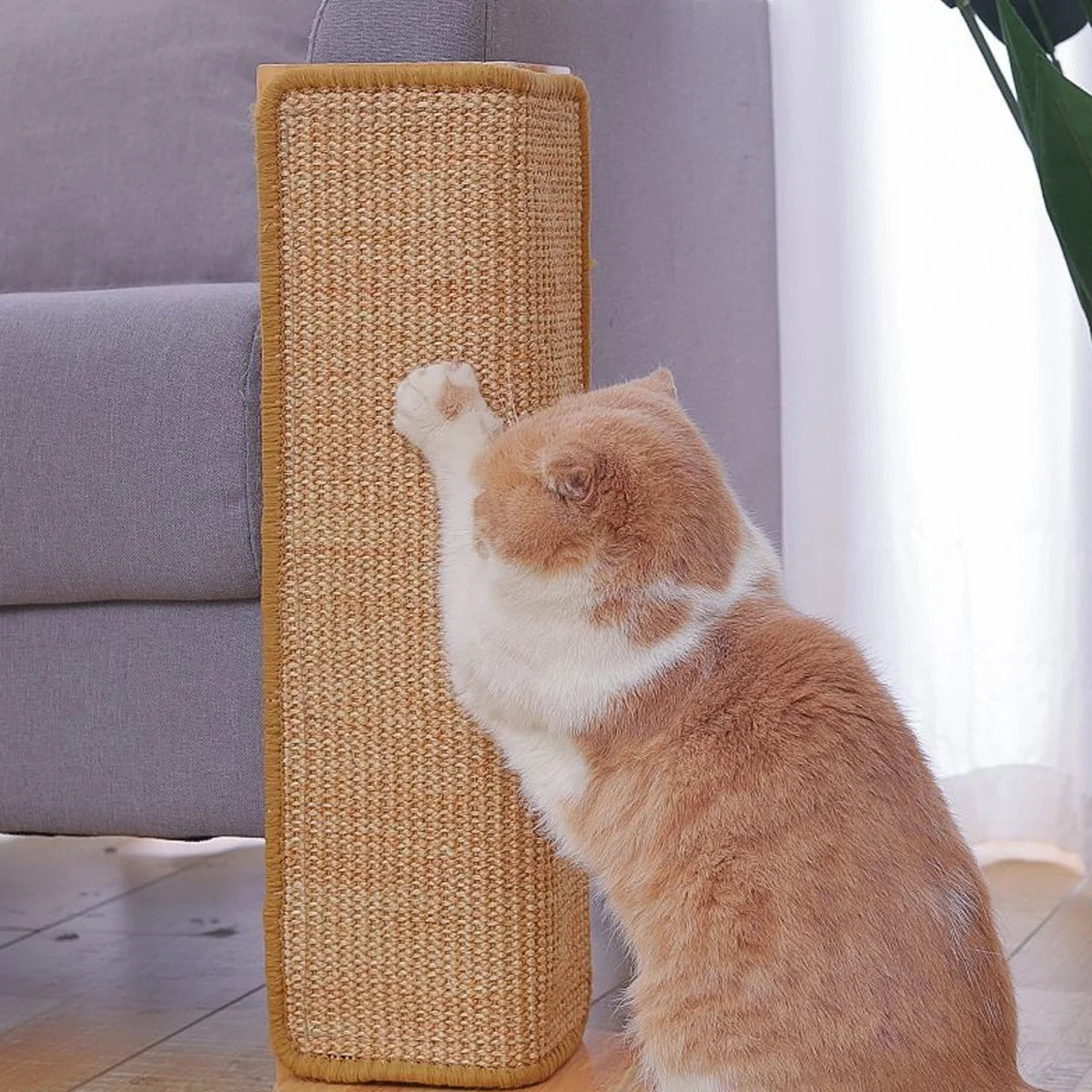Sisal scratching pad with hook and loop backing