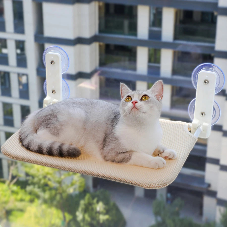 Cat lying in the mesh window hammock