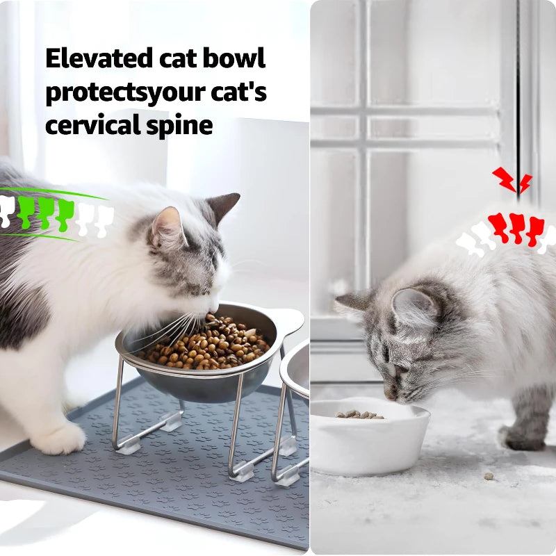Cat eating from the tilted raised bowl