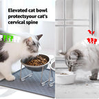 Cat eating from the tilted raised bowl