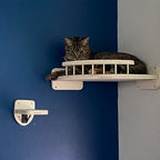 Cat lying on the corner platform with guard rail, wall mounted