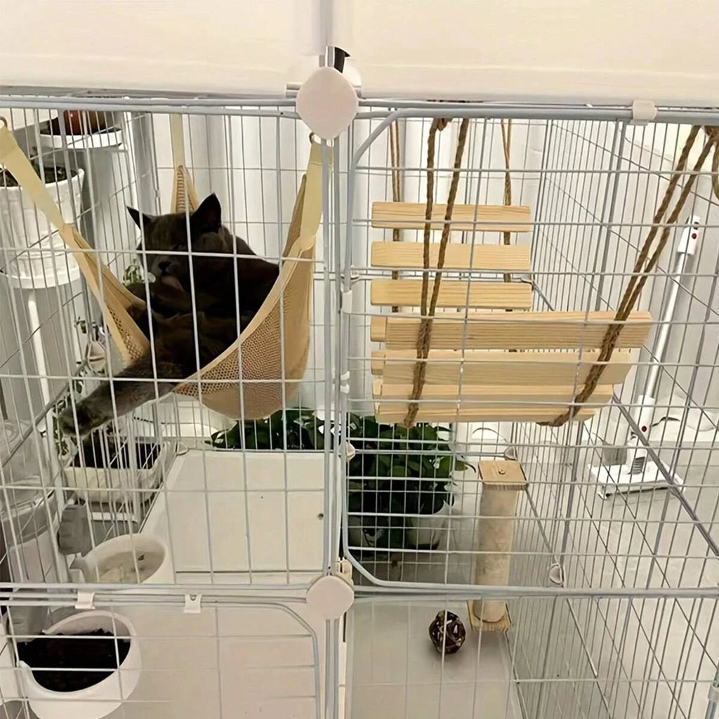 Cat climbing the wooden rope ladder