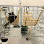 Cat climbing the wooden rope ladder