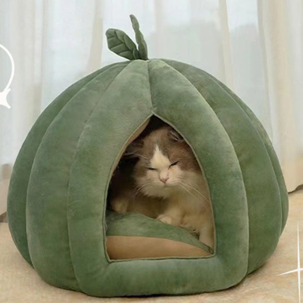 Cat sleeping inside the pumpkin cat house
