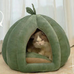 Cat sleeping inside the pumpkin cat house