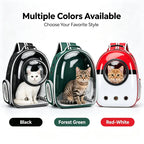 Cat looking out of the bubble backpack