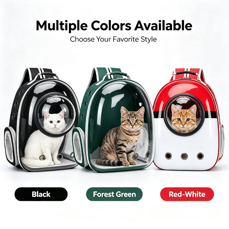Cat looking out of the bubble backpack
