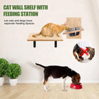 Wall Feeding Shelf with Two Steel Bowls