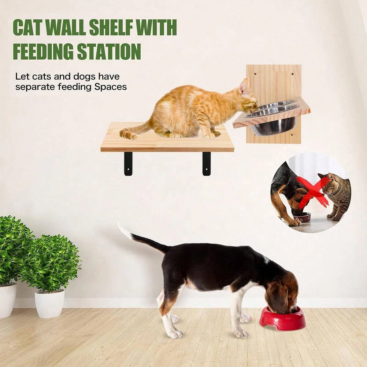Wall Feeding Shelf with Two Steel Bowls