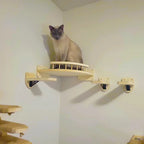 Corner cat shelf set installed in a room corner with a cat resting on it