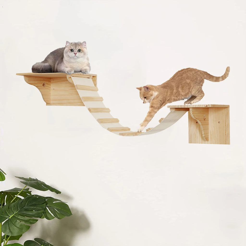 Two cats using the wall mounted shelf and bridge set