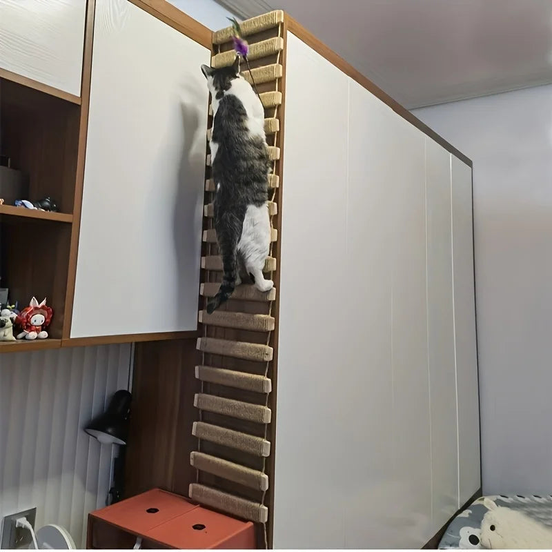 Cat climbing a sisal wrapped wall ladder