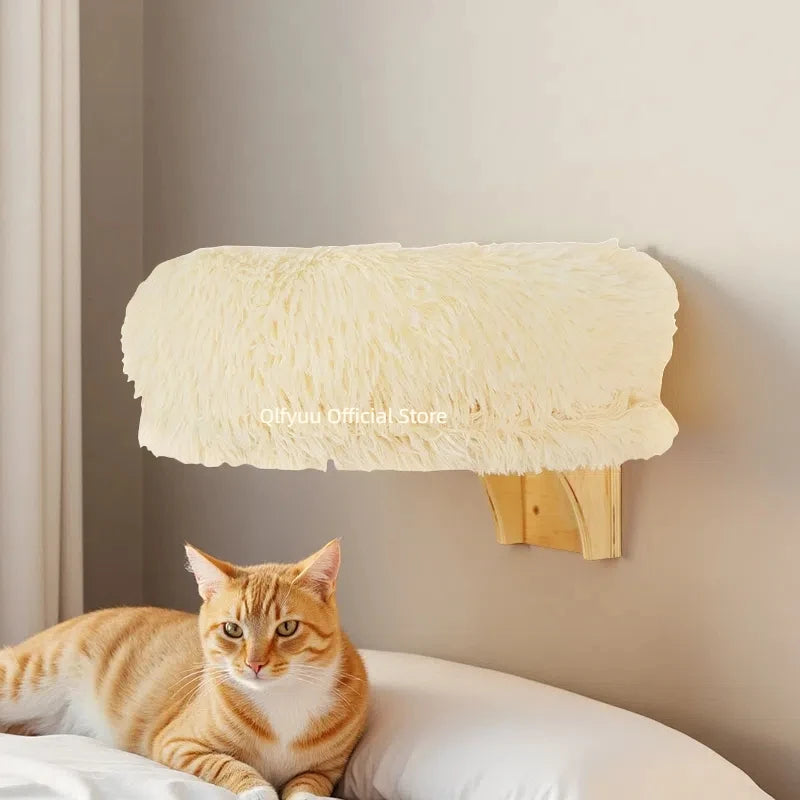 Cat resting on the wall mounted bed