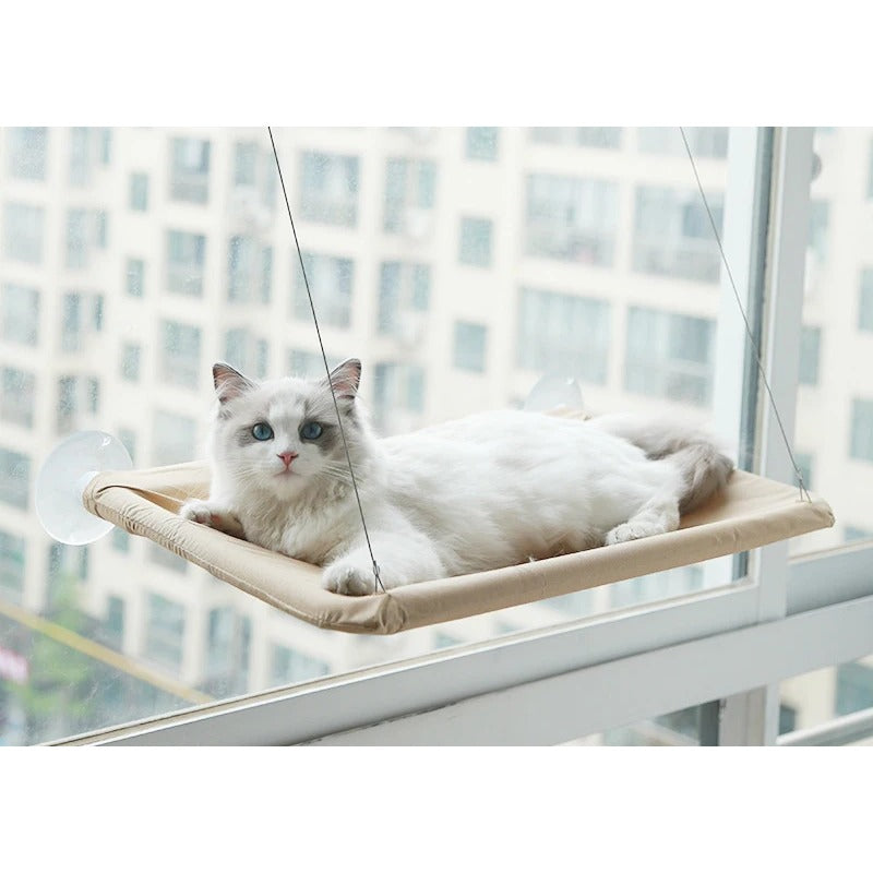 Window Hammock on a Metal Frame