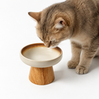 Ceramic cat bowl on a wood base